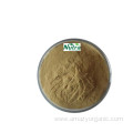 Fruit Powder Organic Noni Fruit Extract Powder